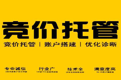 揭秘！百度竞价排名背后的成功故事
